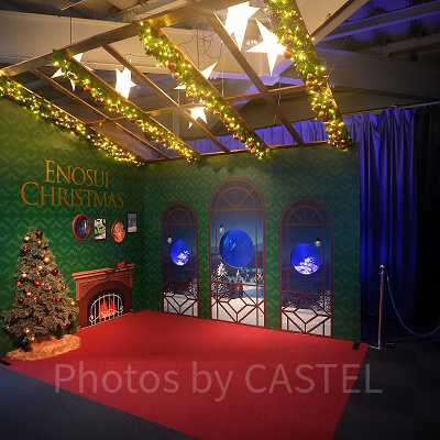 えのすいクリスマス：クリスマス限定の展示