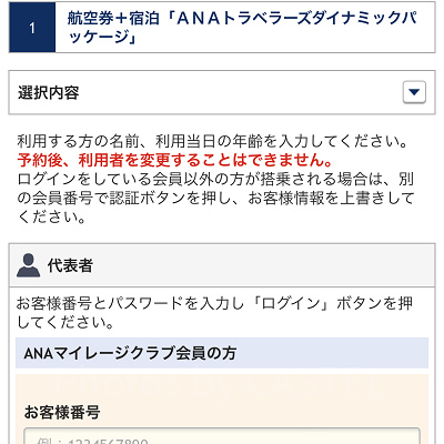 お客さま情報の入力（ANA）