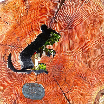 キャンプ・ウッドチャックの入り口