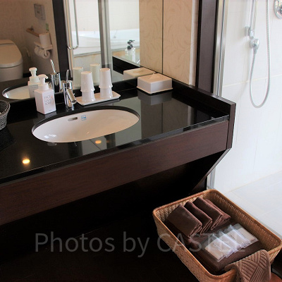 ユーラシアスイートの洗面台