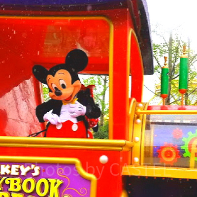 雨なのにスーパースターはノリノリです