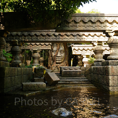 ジャングルの奥地を探検