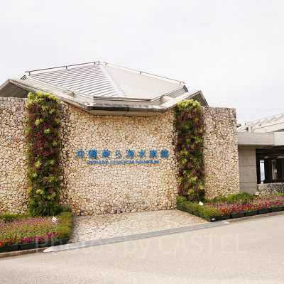 美ら海水族館の外観