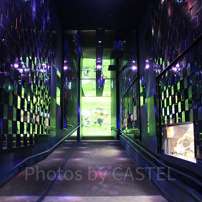 幻想的な万華鏡トンネル