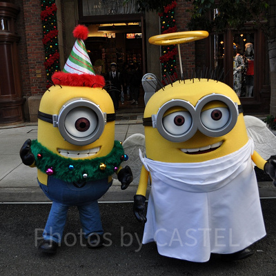 ジェリーの特徴