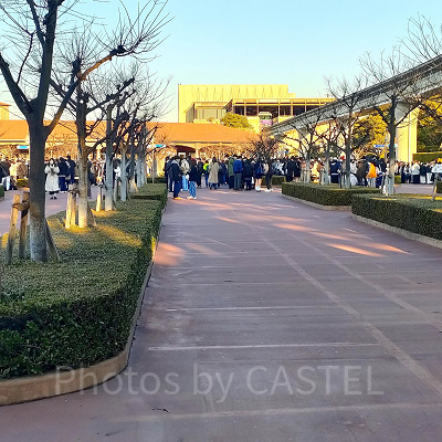 2023年2月ディズニーシー混雑状況レポート：サウスゲート（7:50頃）
