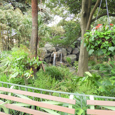 マイナスイオンを感じて♪