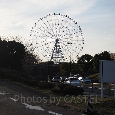 葛西臨海公園の観覧車