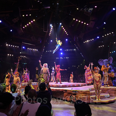 フェスティバル・オブ・ライオン・キング