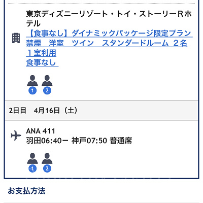 申込内容の最終確認（ANA）