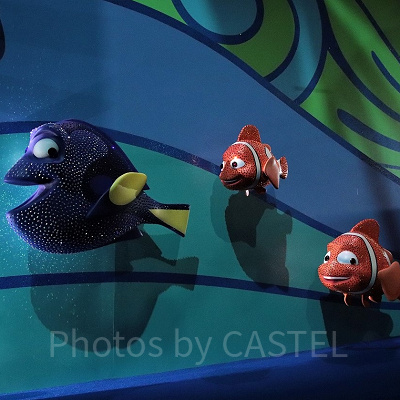 ファインディングニモ