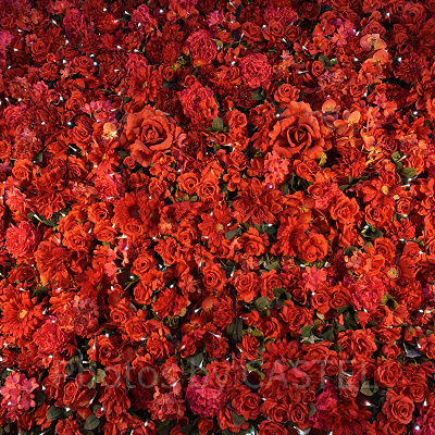 フラワーオーベル