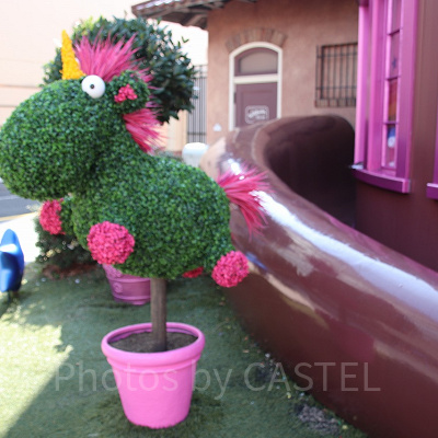 フラッフィシェイプの植木はフォトスポットに最適♪