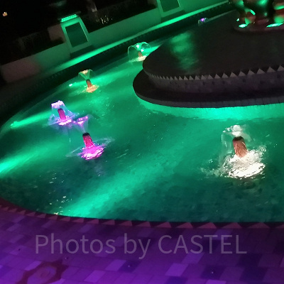 ジャスミンのフライングカーペット（夜の水面）