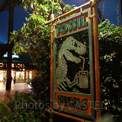 フォッシルフュエルズ