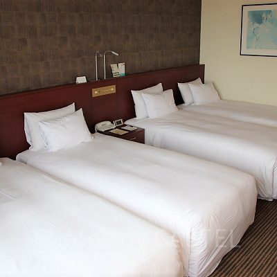 フォース（ファミリールーム）①