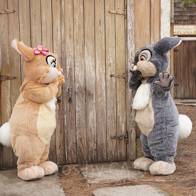 ミスバニー&とんすけとのフリーグリーティング（ディズニーシー）