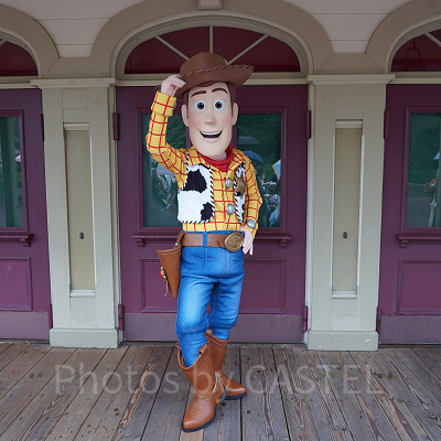 ディズニーランドで楽しめるフリーグリーティング