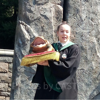 フロッグ・クワイア