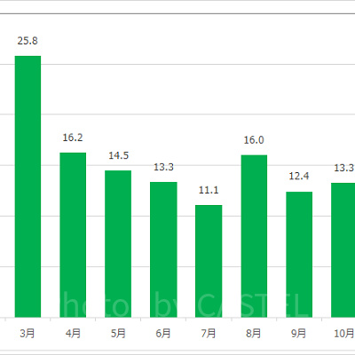 ガジェットのゴーコースターの月別平均待ち時間