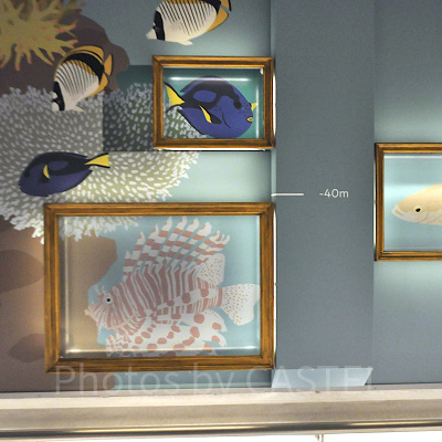 GALLERY　探求の回廊