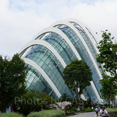 ガーデンズバイザベイ：クラウドフォレスト