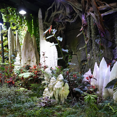 ガーデンズバイザベイ：クラウドフォレスト