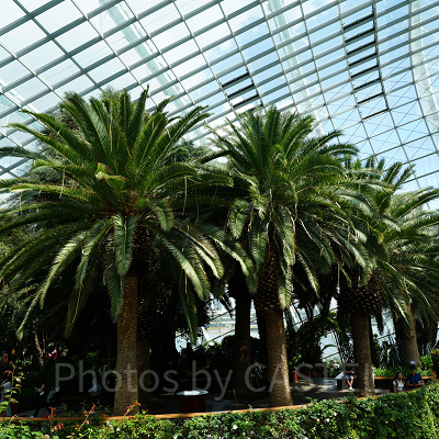 ガーデンズバイザベイ：所要時間