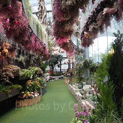 ガーデンズバイザベイ：フローラルファンタジー