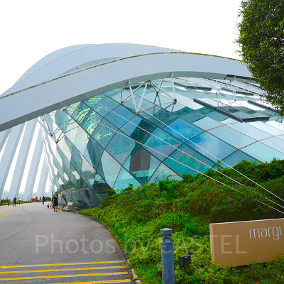 ガーデンズバイザベイ：フラワードーム