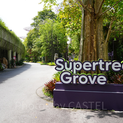 ガーデンズバイザベイ：スーパーツリーグローブ