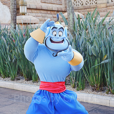 ディズニーシーで会えるジーニー