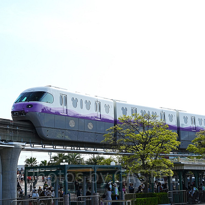 できるだけ早くパークに到着しておこう