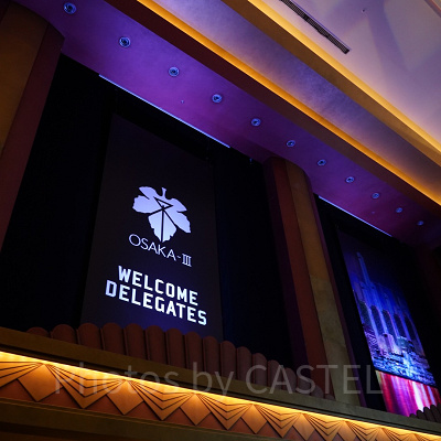 ゴジラVSエヴァンゲリオンアトラクション