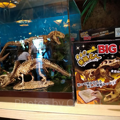 黄金の発掘名人ゴールド