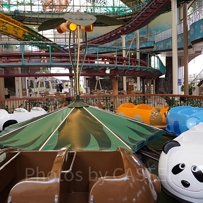 森のなかよしハイキング