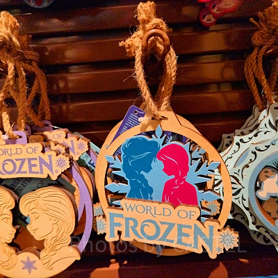香港ディズニーのアナ雪エリア「ワールドオブフローズン」のグッズ