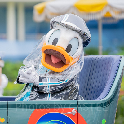 グリーティングパレード：クラブマウスビート　ドナルド