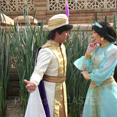 アラジンと一緒に登場するジャスミン