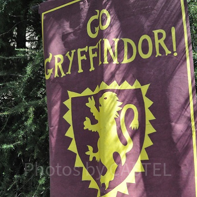 ハリー・ポッターの寮グリフィンドールの応援旗
