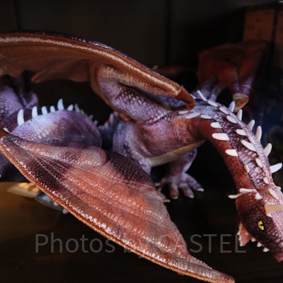 ハリーポッターグッズ/ドラゴン