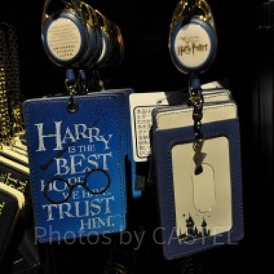 ハリーポッター「ハリーズグラッシーズ」のパスケース