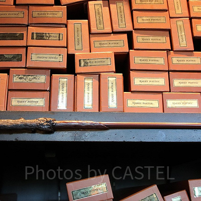 ハリー・ポッターの杖