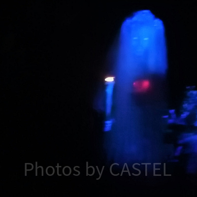 ホーンテッドマンション：花嫁