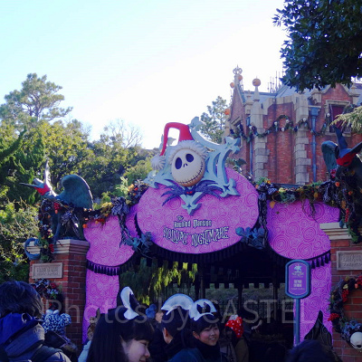 「ホーンテッドマンション“ホリデーナイトメアー”｣