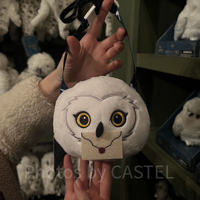 ヘドウィグのチケットホルダー