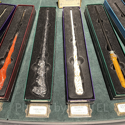 スタジオツアー東京限定のヘドウィグの杖（右から2本目）