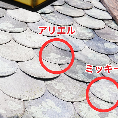 隠れアリエル〔ハンドウォッシングエリア〕