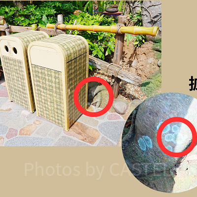 隠れミッキー〔フェアリー・ティンカーベルのビジーバギー〕