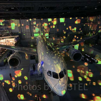 見どころ①：Fly with 787 Dreamlinerの様子